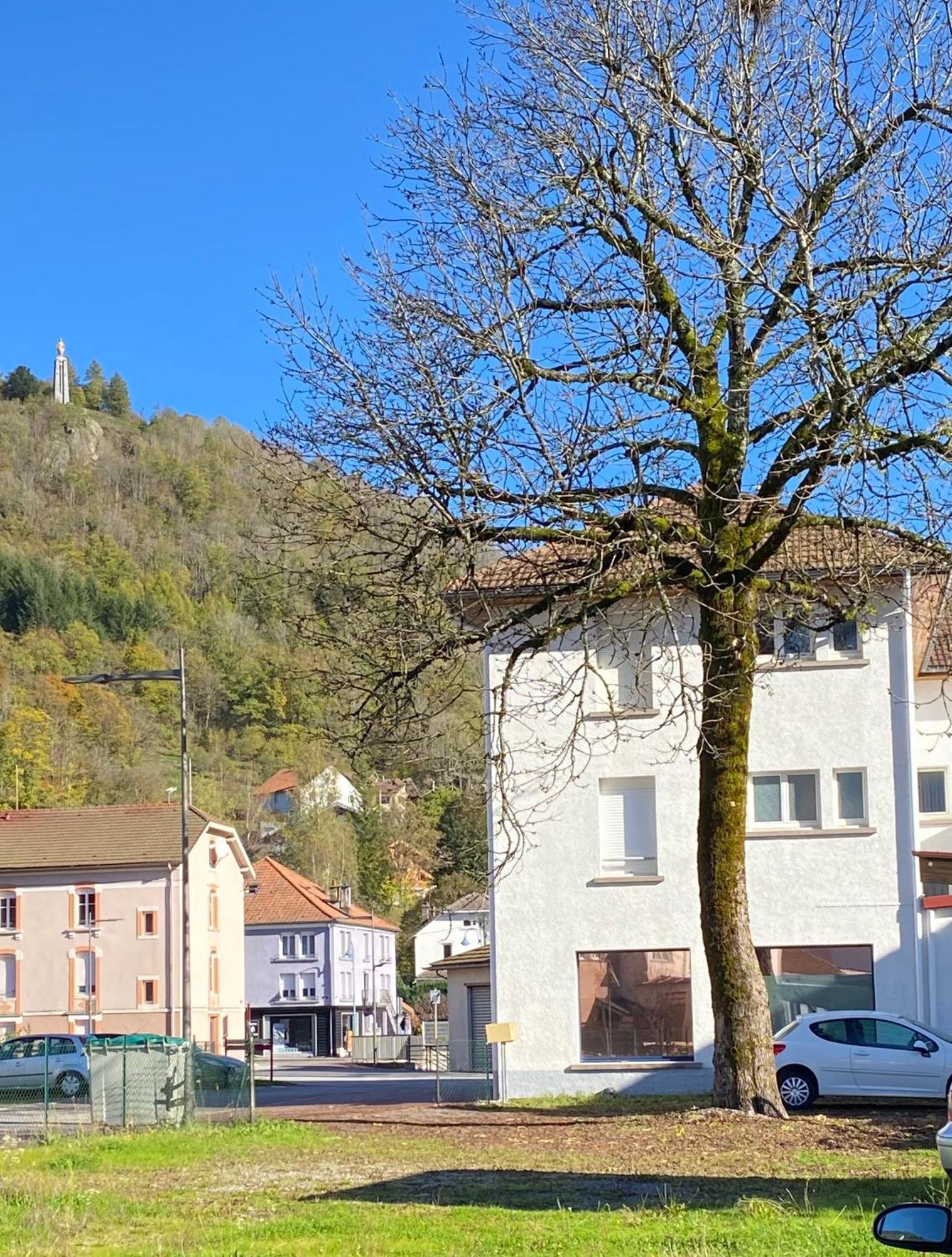 Grand'Roche Apartman Cornimont Kültér fotó